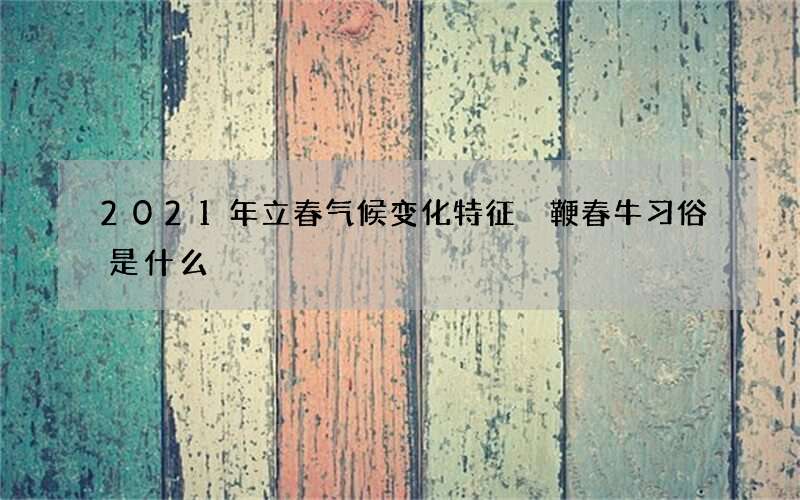 2021年立春气候变化特征 鞭春牛习俗是什么